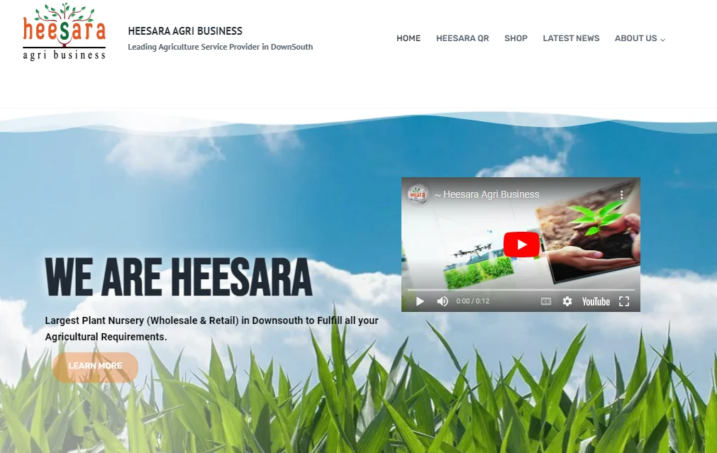 Web Development